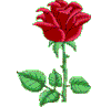 rose: :rose