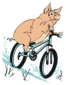 velo: :velo